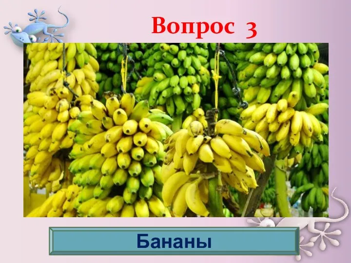 Вопрос 3 Удивительная еда — эти сказочные фрукты: прекрасно утоляют голод,