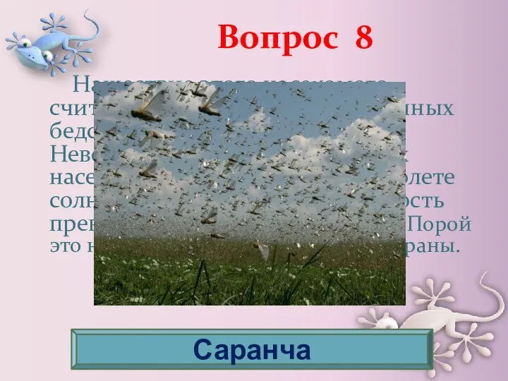 Вопрос 8 Нашествие этого насекомого считалось одним из самых страшных бедствий