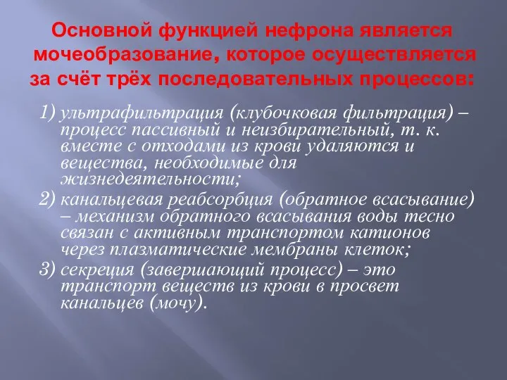 Основной функцией нефрона является мочеобразование, которое осуществляется за счёт трёх последовательных