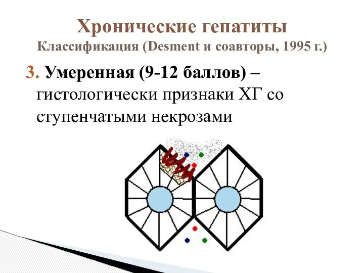 3. Умеренная (9-12 баллов) – гистологически признаки ХГ со ступенчатыми некрозами