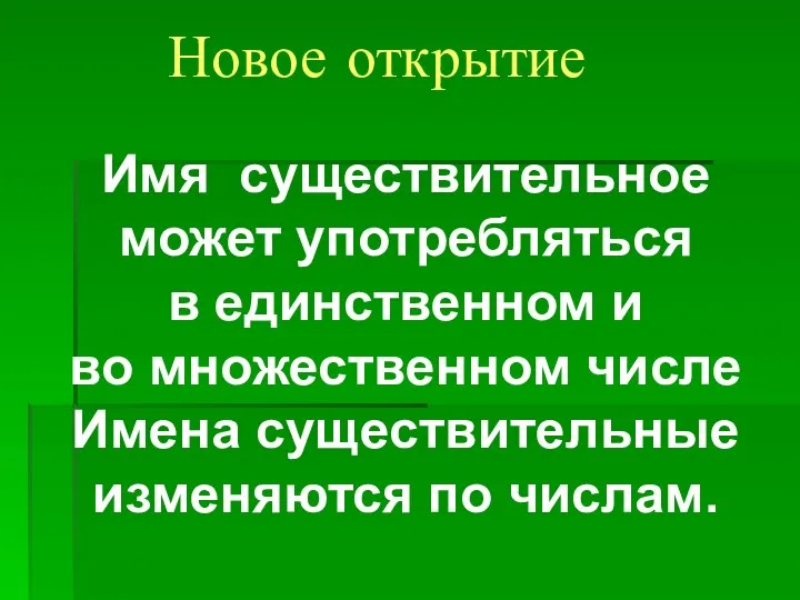 Новое открытие Имя существительное может употребляться в единственном и во множественном