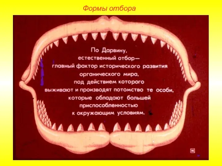 Формы отбора