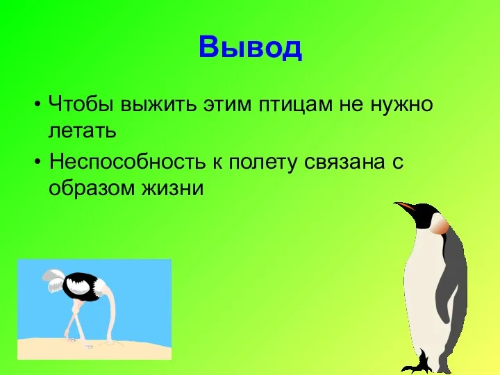 Вывод Чтобы выжить этим птицам не нужно летать Неспособность к полету связана с образом жизни