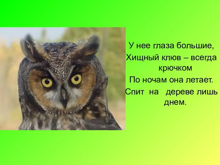 У нее глаза большие, Хищный клюв – всегда крючком По ночам