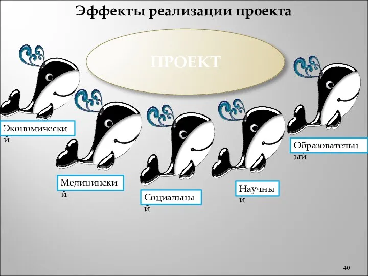 Эффекты реализации проекта ПРОЕКТ Экономический Социальный Образовательный Медицинский Научный