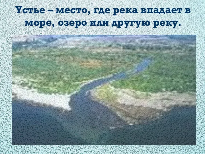 Устье – место, где река впадает в море, озеро или другую реку.