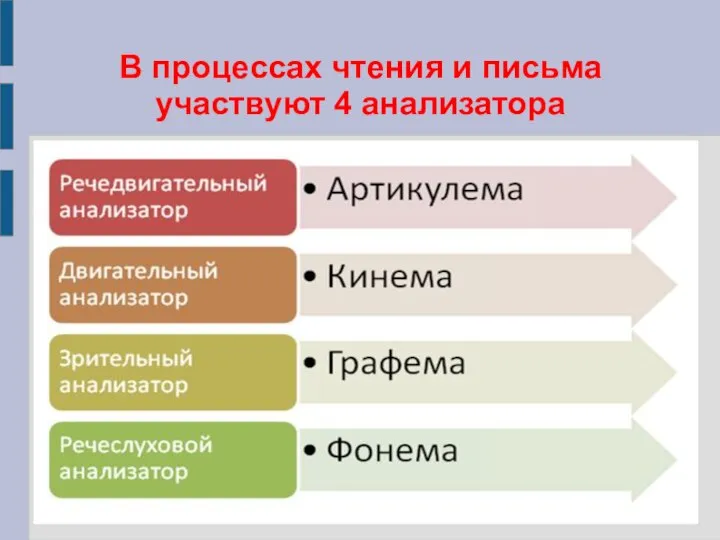 В процессах чтения и письма участвуют 4 анализатора