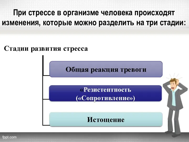 При стрессе в организме человека происходят изменения, которые можно разделить на три стадии: