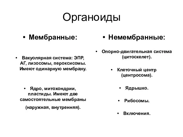 Органоиды Мембранные: Вакуолярная система: ЭПР, АГ, лизосомы, пероксисомы. Имеют одинарную мембрану.