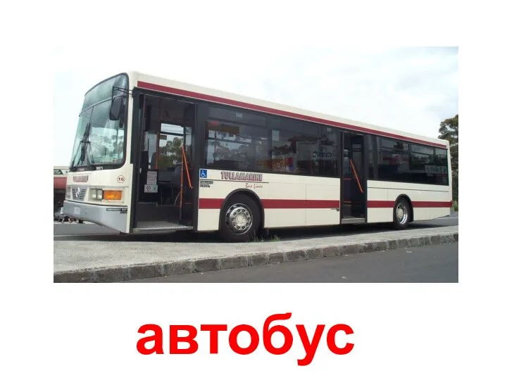 Автобус автобус