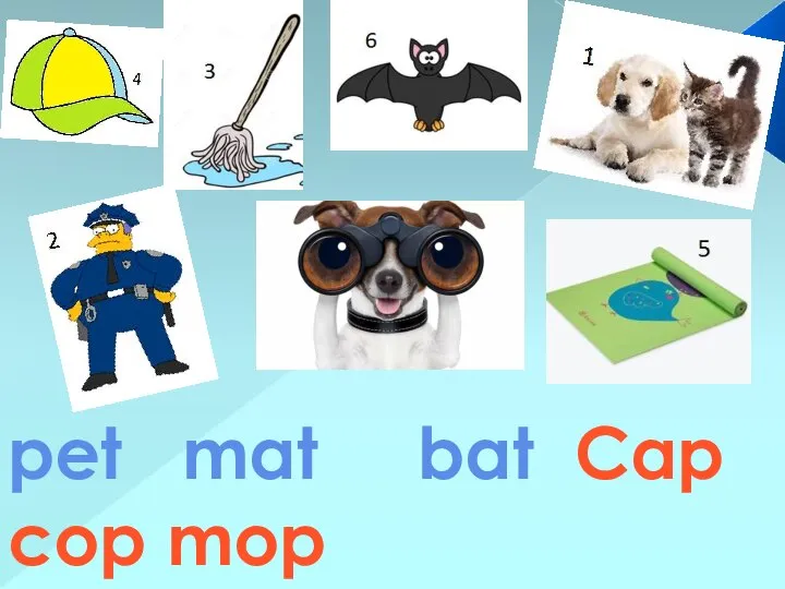 pet mat bat Cap cop mop