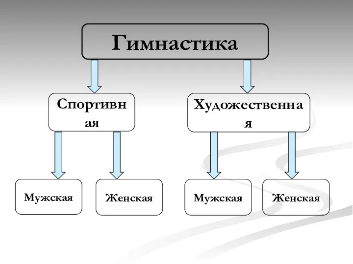 Спортивная Мужская Женская Мужская Женская Гимнастика Художественная