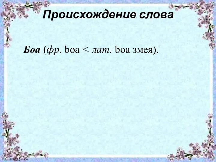 Происхождение слова Боа (фр. bоа