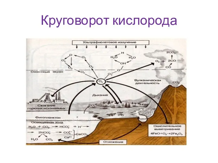 Круговорот кислорода