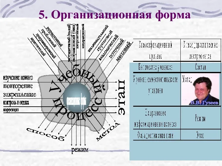 5. Организационная форма организационные формы В.В. Гузеев