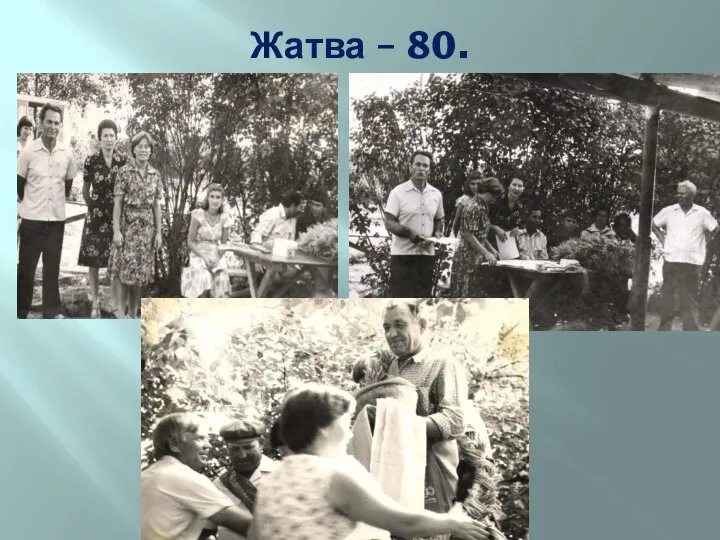 Жатва – 80.