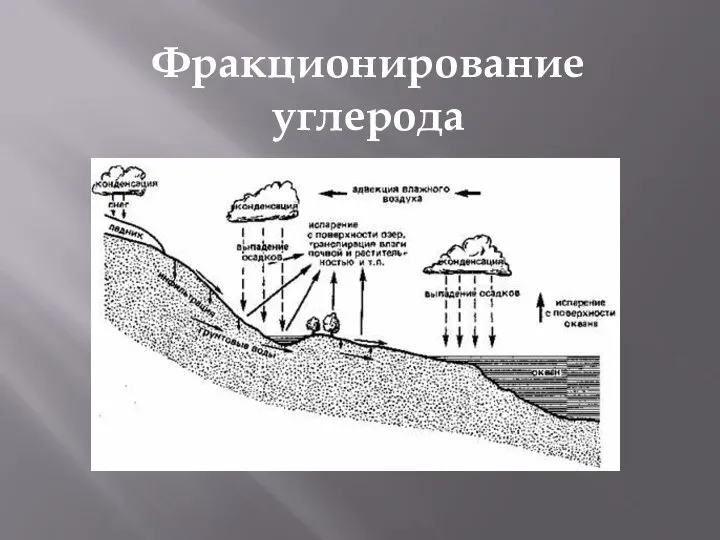 Фракционирование углерода