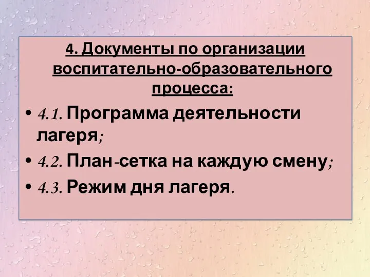 4. Документы по организации воспитательно-образовательного процесса: 4.1. Программа деятельности лагеря; 4.2.