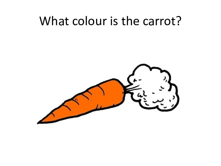 What colour is the carrot?