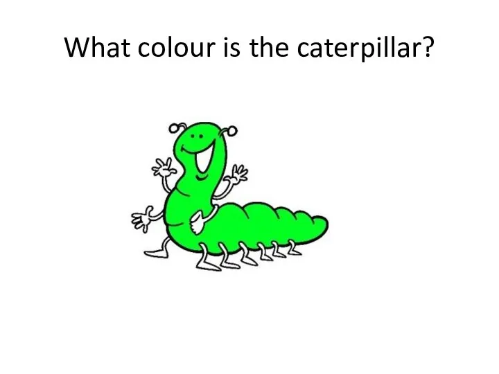 What colour is the caterpillar?