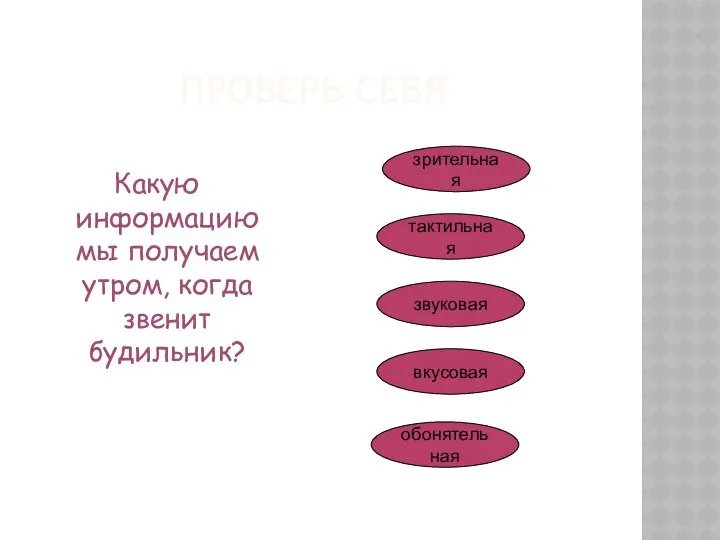 ПРОВЕРЬ СЕБЯ Какую информацию мы получаем утром, когда звенит будильник? зрительная тактильная звуковая вкусовая обонятельная