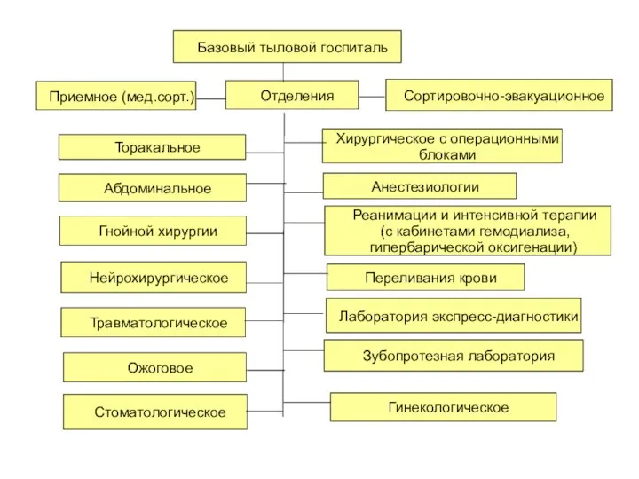 Базовый тыловой госпиталь Отделения Торакальное Абдоминальное Гнойной хирургии Нейрохирургическое Травматологическое Ожоговое