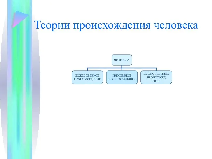 Теории происхождения человека