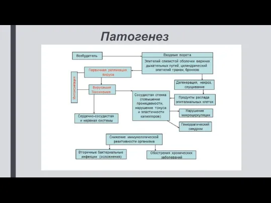 Патогенез