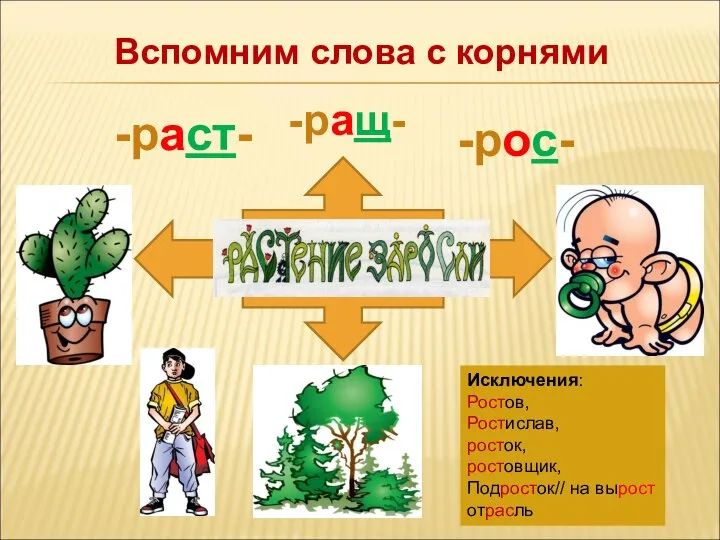 -раст- -рос- Вспомним слова с корнями Исключения: Ростов, Ростислав, росток, ростовщик, Подросток// на вырост отрасль -ращ-