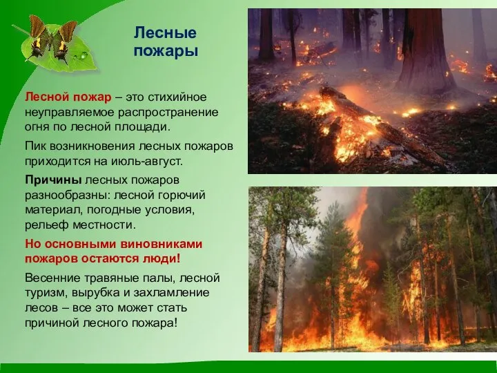 Лесные пожары Лесной пожар – это стихийное неуправляемое распространение огня по