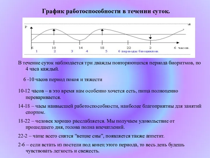 График работоспособности в течении суток. В течение суток наблюдается три дважды