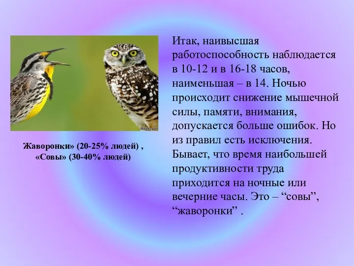 Итак, наивысшая работоспособность наблюдается в 10-12 и в 16-18 часов, наименьшая