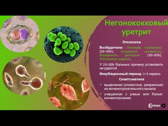 Негонококковый уретрит Этиология Возбудители: Chlamydia trachomatis (30–50%), Ureaplasma urealyticum, Mycoplasma genitalium