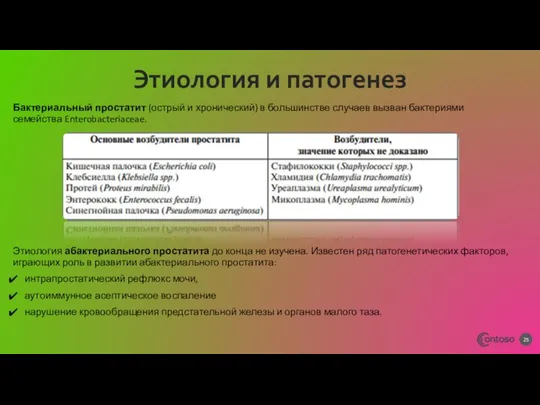 Бактериальный простатит (острый и хронический) в большинстве случаев вызван бактериями семейства