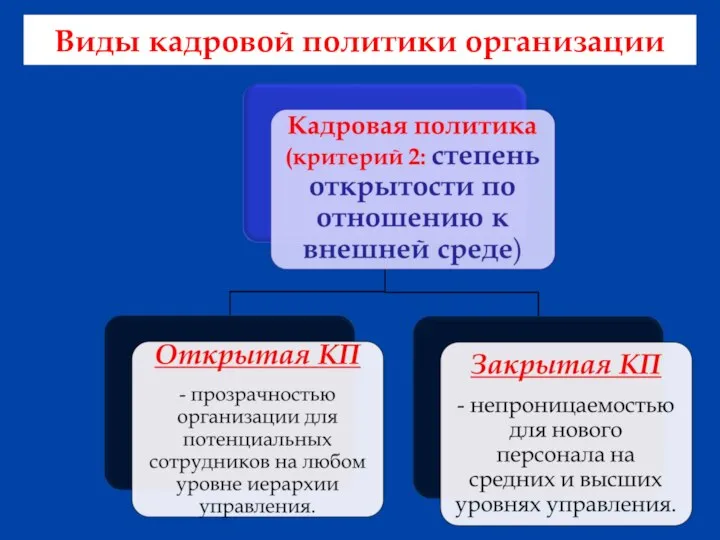 Виды кадровой политики организации