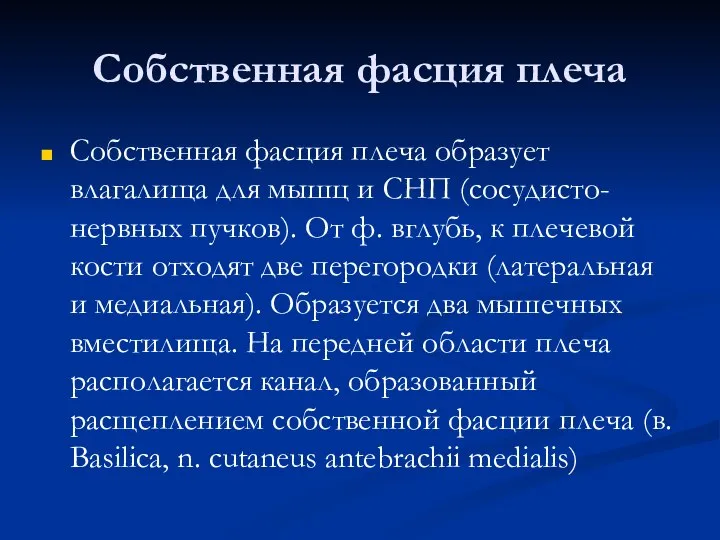 Собственная фасция плеча Собственная фасция плеча образует влагалища для мышц и