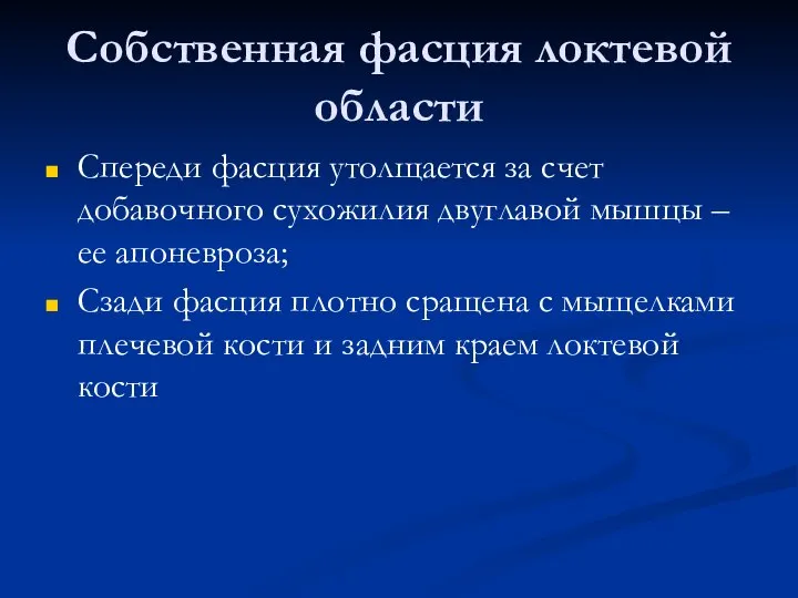 Собственная фасция локтевой области Спереди фасция утолщается за счет добавочного сухожилия