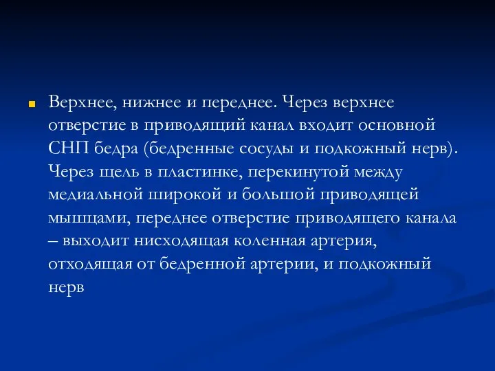 Верхнее, нижнее и переднее. Через верхнее отверстие в приводящий канал входит