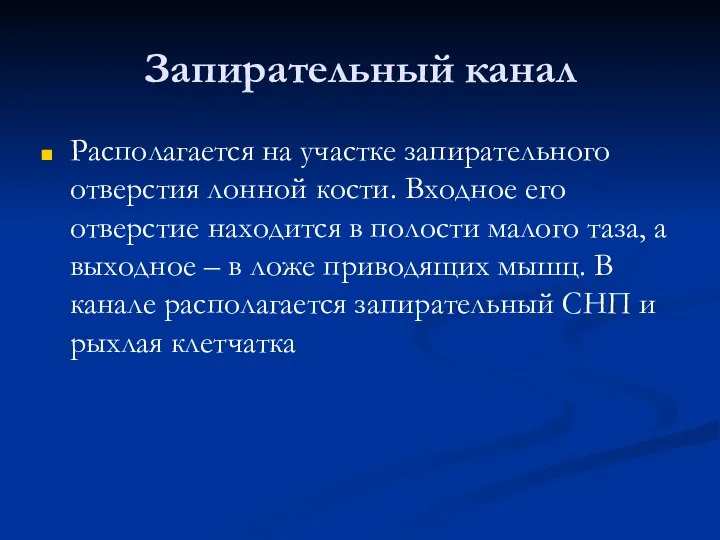 Запирательный канал Располагается на участке запирательного отверстия лонной кости. Входное его