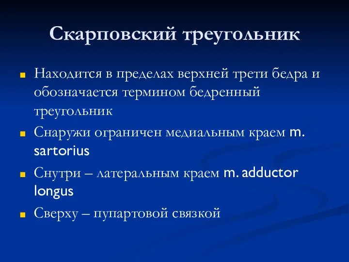 Скарповский треугольник Находится в пределах верхней трети бедра и обозначается термином