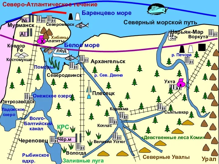 «Девственные леса Коми» Поморы р. Сев. Двина