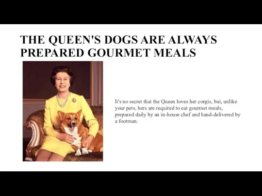 THE QUEEN'S DOGS ARE ALWAYS PREPARED GOURMET MEALS It's no secret