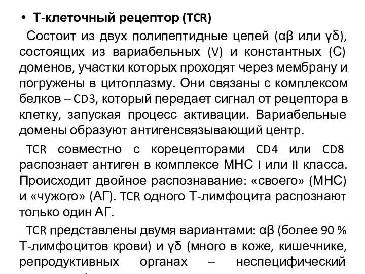 Т-клеточный рецептор (TCR) Состоит из двух полипептидные цепей (αβ или γδ),