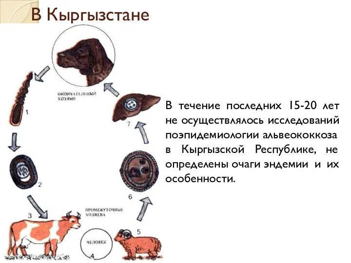 В Кыргызстане В течение последних 15-20 лет не осуществлялось исследований поэпидемиологии