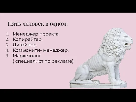 Пять человек в одном: Менеджер проекта. Копирайтер. Дизайнер. Комьюнити- менеджер. Маркетолог ( специалист по рекламе)