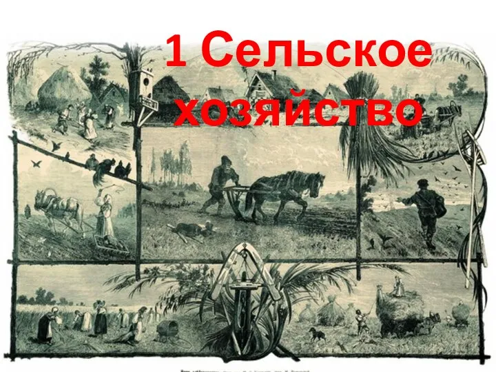 1 Сельское хозяйство