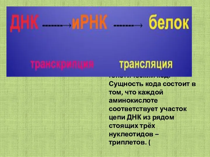 Для реализации информации используется генетический код. Сущность кода состоит в том,