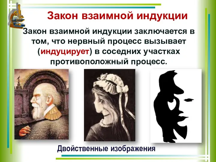 Закон взаимной индукции Закон взаимной индукции заключается в том, что нервный