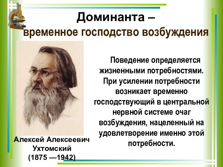 Доминанта – временное господство возбуждения Поведение определяется жизненными потребностями. При усилении