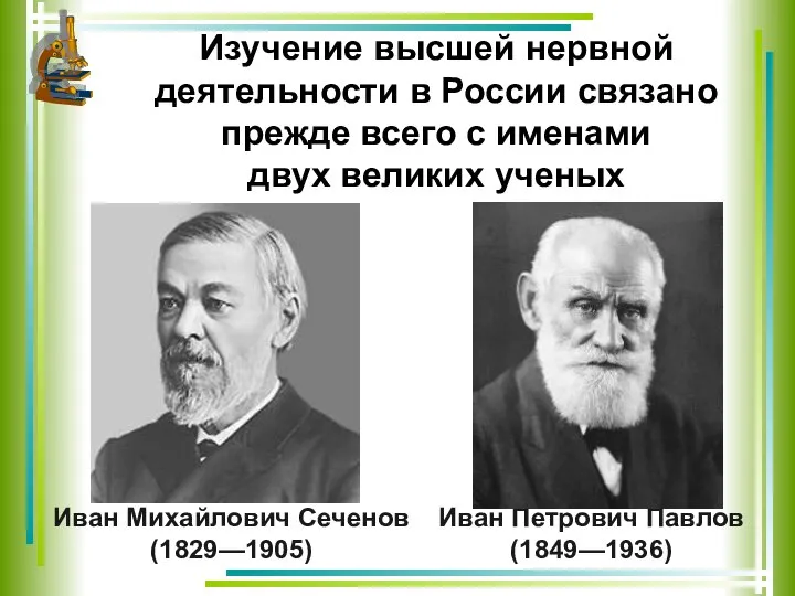 Изучение высшей нервной деятельности в России связано прежде всего с именами